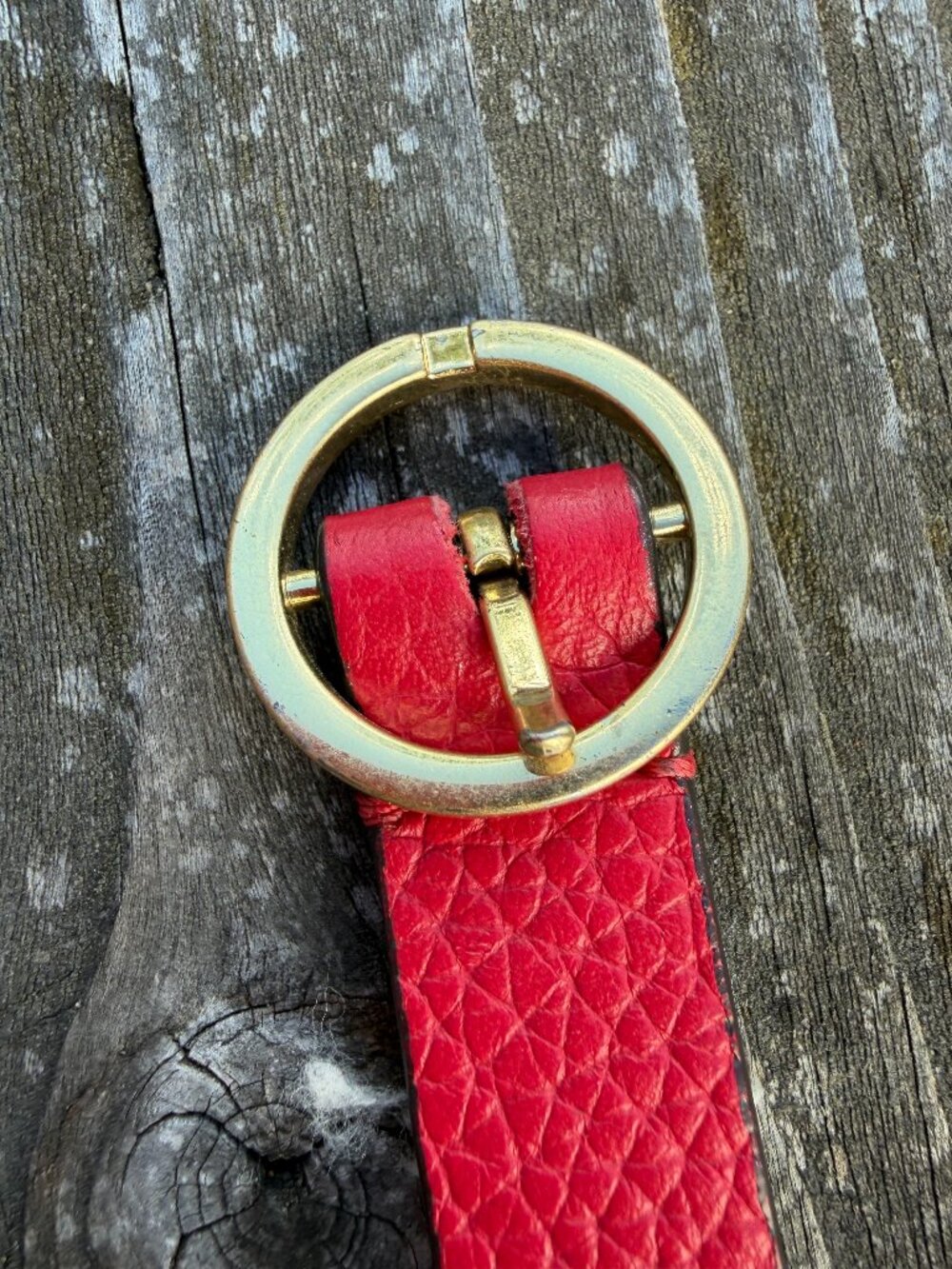 Sweet Raspberry Leather Boden Belt with Gold Buckle